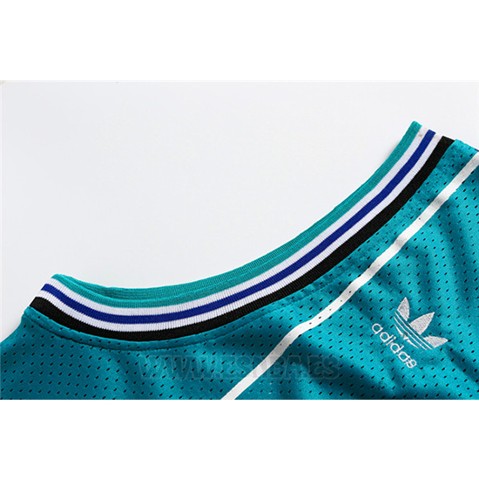 Camiseta Charlotte Hornets Dell Curry #30 Retro Verde